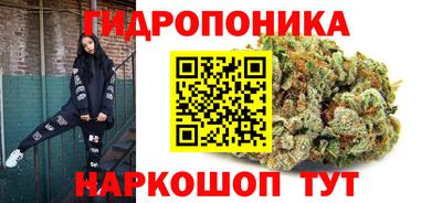 круглые Камышлов