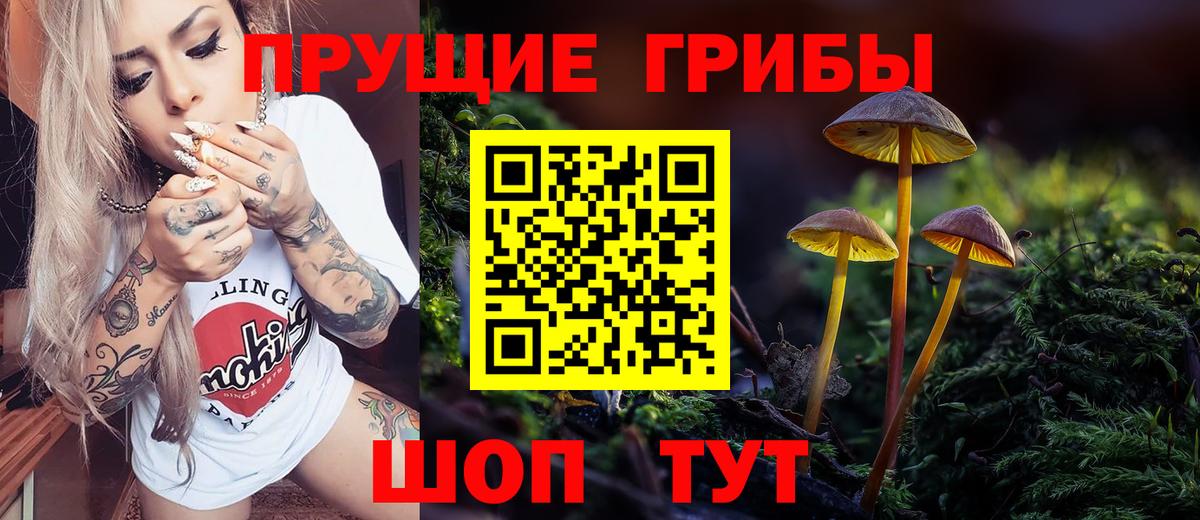 Псилоцибиновые грибы Cubensis Карасук