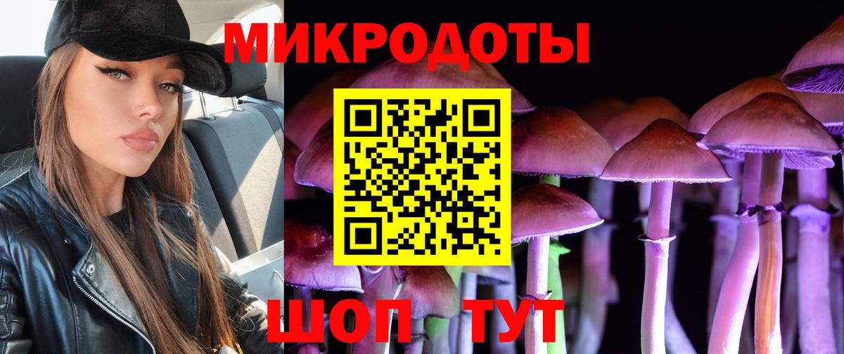 Карасук  Псилоцибиновые грибы ЛСД  Вход с VPN  где купить   Галлюциногенные грибы MAGIC MUSHROOMS 