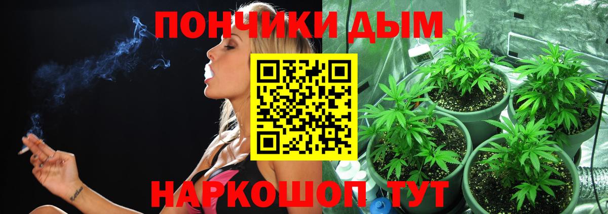 Карасук  Конопля ГИДРОПОН  Вход с VPN  Шишки марихуана THC 21%  Каннабис сатива 