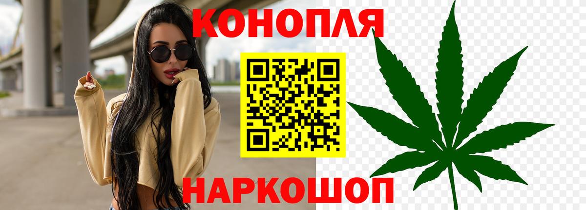 Конопля планчик Карасук
